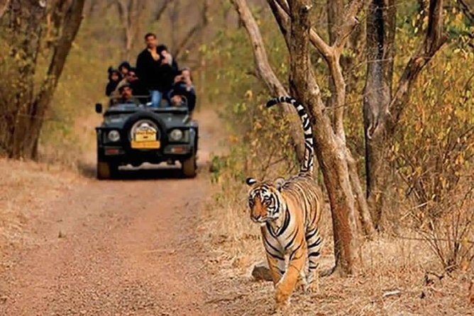 Sariska National Park